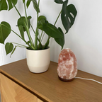 Himalaya Saltlampe 2-4 kg. med træfod